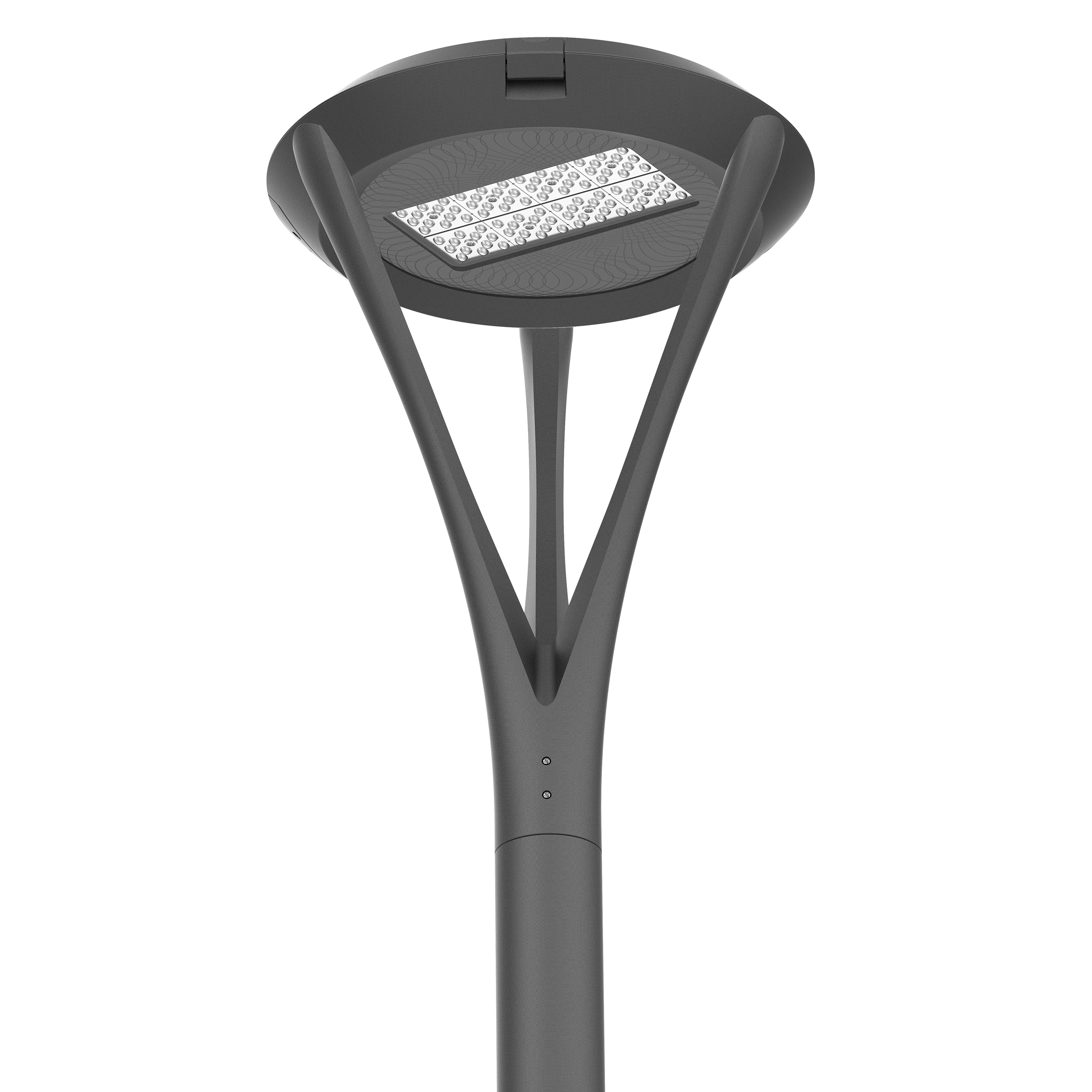 60W Citta LED Urban Area Light 4000K Type V Optics Finish: Graphite Grey